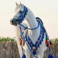 لوازم اسب سواری