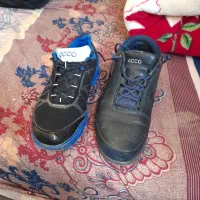 کتانی ecco|کیف، کفش، کمربند|تهران, جنت‌آباد جنوبی|دیوار