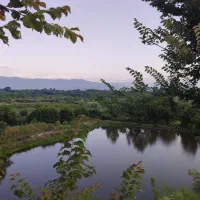 استخرماهی ۳هکتارجاده جیرده|فروش زمین و ملک کلنگی|شفت, |دیوار