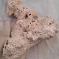 سنگهای زینتی آکواریوم و گیاه مصنوعی