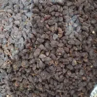 کشمش|خوردنی و آشامیدنی|بناب, |دیوار