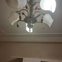 دوعدد لوستر فروشی