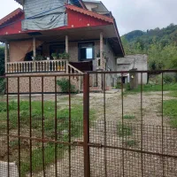 ویلا در دل جنگل روزانه