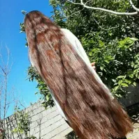 مرکز تخصصی مو در اردبیل و حومه