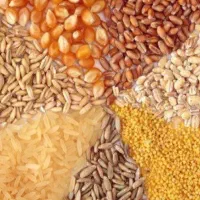 فروش جوذرت سویا ونهادهای های دام وطیور