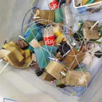 ماهی فایتر|ماهی|مشهد, الهیه|دیوار