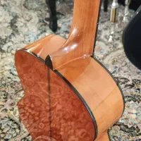 گیتار|گیتار، بیس، امپلیفایر|دامغان, |دیوار