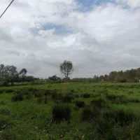 فروش-سه-قطعه-زمین-نزدیک-رشت-مدارک-زمین-کامل