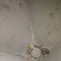 بزر پاش|ماشینآلات صنعتی|رامهرمز, |دیوار