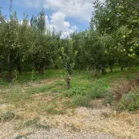 دماوند جابان فروش ۲۸۲ متر باغ زمین آب+برق+گاز|فروش زمین و ملک کلنگی|دماوند, دماوند|دیوار