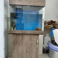 اکواریوم ماهی