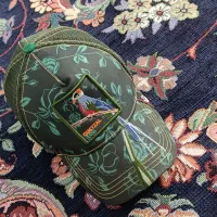 کلاه|لباس|کرمانشاه, |دیوار