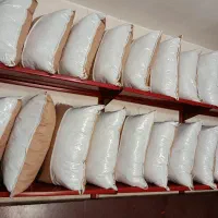 روتختی خوابینو|سرویس روتختی|گلستان (تهران), |دیوار