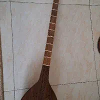 سه تار سالم|سازهای سنتی|پاکدشت, پاکدشت (مامازند)|دیوار