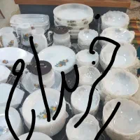 آرکوپال گل میوه و بابونه وآنمون