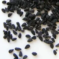 تیم پیاز