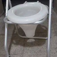 فلاش تانک،تولت فرنگی