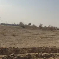 فروش زمین|فروش دفتر صنعتی، کشاورزی، تجاری|ابریشم, |دیوار