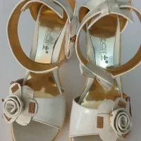 صندل مجلسی سالم|کیف، کفش، کمربند|اصفهان, حصه جنوبی|دیوار