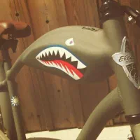 دوچرخه الکترا ساخت کارخانه Trek آمریکا در تایوان