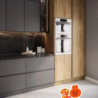 استخدام نیروی کار