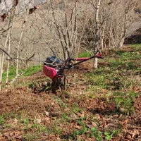 شخم زنی باغچه جهت کشت سبزیجات وکاشت دور درختان