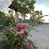 باغچه-گلمکان-سنگ-سفید