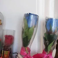 گل مصنوعی همراه گلدان|گل مصنوعی|ری, فیروزآبادی|دیوار