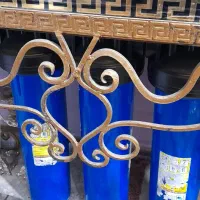 اکواریوم و ماهی|ماهی|تهران, مسعودیه|دیوار