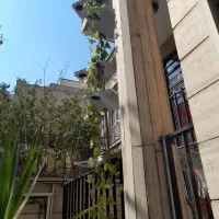 Green Step پله سبز مخصوص رفت و آمد گربه
