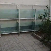 آکواریوم|ماهی|خوی, |دیوار