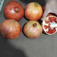 انار|خوردنی و آشامیدنی|کوهنانی, |دیوار
