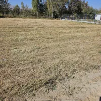 زمین مناسب باغ و ویلا 1300متر|فروش زمین و ملک کلنگی|گلپایگان, |دیوار