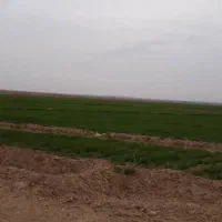 اجاره زمین کشاورزی 60 هکتاری در رامشیر