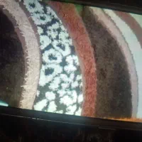 گلیم سالم|گلیم، جاجیم، گبه|خرم‌آباد, |دیوار