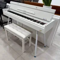 دیجیتال پیانوهای دیجیتال|پیانو، کیبورد، آکاردئون|گناباد, |دیوار