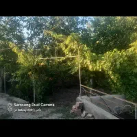 سهام کارکنان دادگستری