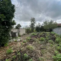 فروش-زمین-300-متری-تمام-مسکونی-محدوده-لیالستان