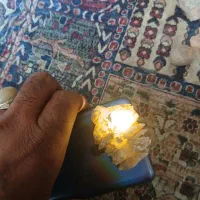 چند عدد سنگ و فسیل