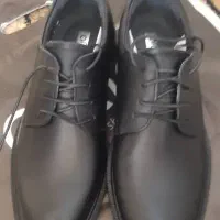 کفش چرم مردانه|کیف، کفش، کمربند|جم, |دیوار