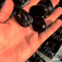 خرما مضافتی جهت مجالس|خوردنی و آشامیدنی|شیراز, بازار|دیوار