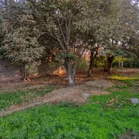 780متر-زمین-باغی-در-مجموعه-شهرکی-سرسبز