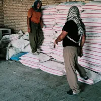 کودشیمیایی سفیدرازی
