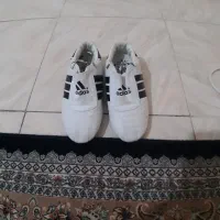 کفش تکواندو