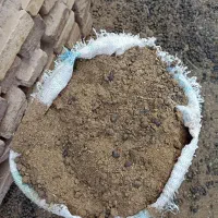 کود گوسفندی