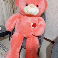 شاسخین عروسک خرسی