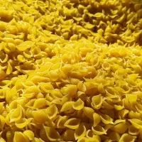 ماکارونی فرمی فله در هفت مدل|خوردنی و آشامیدنی|تهران, ترمینال جنوب|دیوار