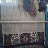 دار قالی
