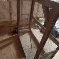 معاوضه با هر کالایی