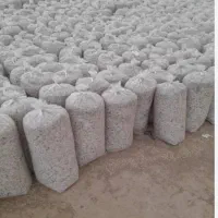 تفاله چغندر